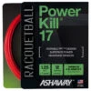 Ashaway PowerKill 17 1.25mm Racquetball Set -Racquet Gear ashaway powerkill 17 1 25mm racquetball set 24600 44546.1698771756