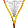 Prince Phoenix Elite 700 Squash Racquet -Racquet Gear prince phoenix elite 700 squash racquet 68524 61552.1698772310
