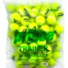 Prince Trainer Tennis Balls 60 Pack -Racquet Gear prince trainer tennis balls 60 pack 91684 95261.1698770299