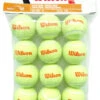 Wilson Starter Orange Tennis Balls Dozen -Racquet Gear wilson starter orange balls dozen 40267 83813.1698769438